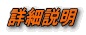 詳細説明